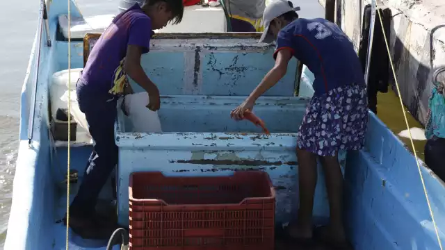 Emplear a infantes, según la ley, pone en peligro el bienestar de las generaciones futuras