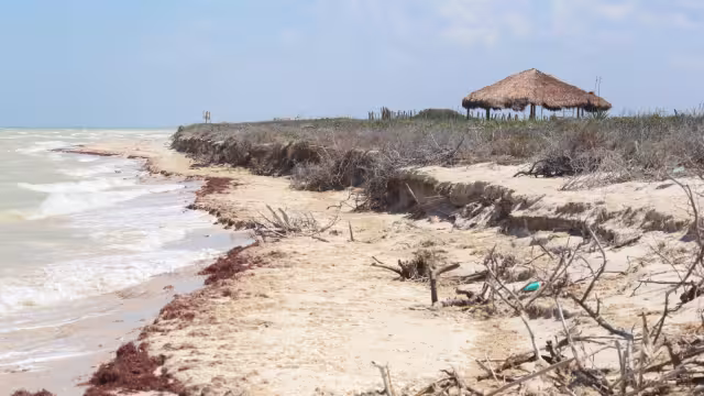 Aseguran que continuar el proyecto sólo acabará con la naturaleza