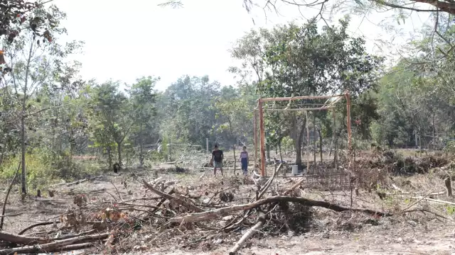 Tras dos meses, Yucatán es el único Estado de la zona que muestra indicios de lenta recuperación
