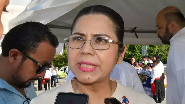 La Secretaria de Salud espera el informe oficial del Gobierno federal sobre casos de dengue