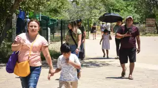 Sugieren no exponerse cuando la radiación es más fuerte