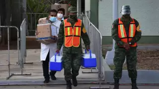 Mañana arribarán 8 mil 265 dosis Pfizer en una aeronave de las Fuerzas Armadas