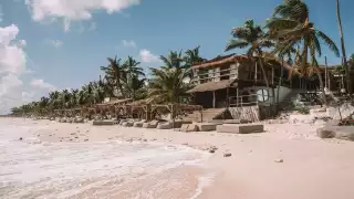Hotel Papaya Playa pide perdón por ecocidio en Tulum