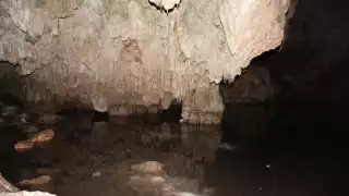 El cenote recibe mantenimiento por parte de los habitantes