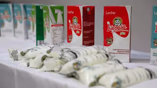 ¿Vives en Campeche?  Estos son los sectores que pueden recibir Leche para el Bienestar
