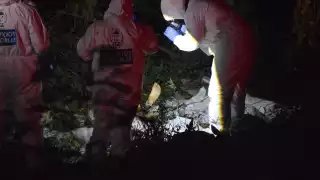 En lo que va del año, en Quintana Roo se han registrado 552 ejecuciones ligadas al crimen organizado; el 2.89 por ciento de las víctimas fueron menores de edad