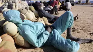 Los inmigrantes son originarios de Egipto, Bangladés, Pakistán, Sudán, Guinea y Ghana. 