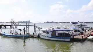 La mayor parte de las aseguradoras no tiene una póliza que los beneficie