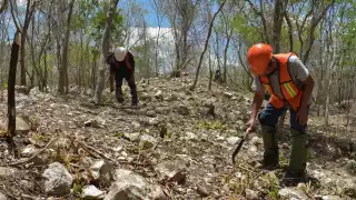 En el tramo labora un equipo de más de 80 operativos arqueológicos en conjunto con el Instituto Nacional de Antropología e Historia para las tareas de salvamento