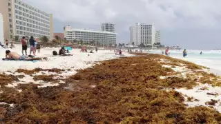 En 2021, Cancún fue uno de los destinos turísticos de Quintana Roo con más afectaciones por la llegada de sargazo a sus playas
