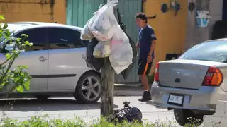 En diciembre se produjeron hasta mil 200 toneladas todos los días.