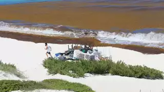 Cozumel, Mahahual y la Riviera Maya son zonas de Quintana Roo que han tenido más afectaciones por el arribo de sargazo a sus playas