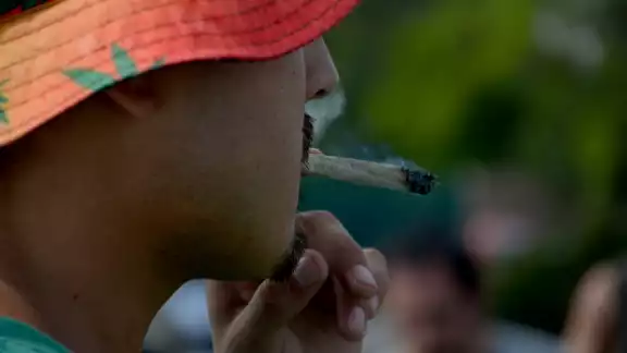 No podrán fumar en lugares públicos y quienes cultiven la planta no podrán comercializarla No podrán fumar en lugares públicos y quienes cultiven la planta no podrán comercializarla