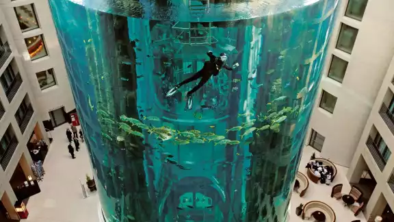 El acuario fue construido en 2003 en el hotel Radisson Collectión El acuario fue construido en 2003 en el hotel Radisson Collectión
