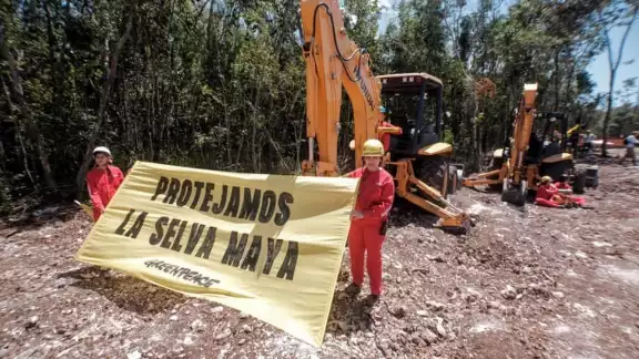 Aunque existen los amparos, los trabajos del Tren Maya continúan Aunque existen los amparos, los trabajos del Tren Maya continúan