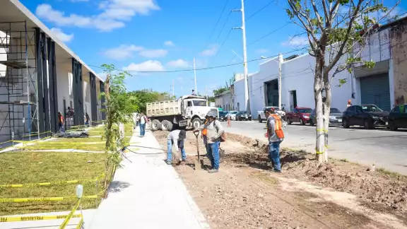 El avance de la construcción de las nuevas casas de La Plancha va a buen ritmo El avance de la construcción de las nuevas casas de La Plancha va a buen ritmo