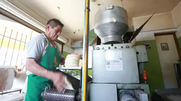 Desde febrero, en México está prohibido el consumo humano de maíz transgénico