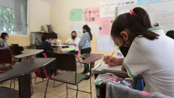 El 66% de los estudiantes quintanarroenses no tuvieron acceso a herramientas tecnológicas durante el confinamiento. El 66% de los estudiantes quintanarroenses no tuvieron acceso a herramientas tecnológicas durante el confinamiento.