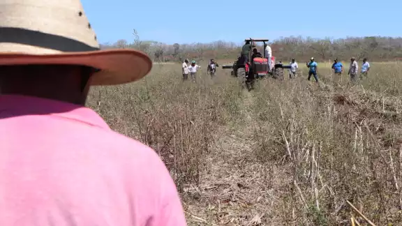 Las lluvias beneficiarán al campo de Campeche Las lluvias beneficiarán al campo de Campeche