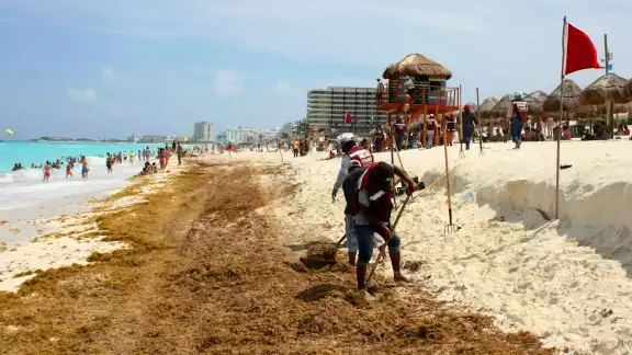 Algunos arenales afectados serán Del Niño, Las Perlas, Chac Mool, Ballenas y Delfines: Especialistas Algunos arenales afectados serán Del Niño, Las Perlas, Chac Mool, Ballenas y Delfines: Especialistas