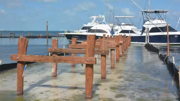 Los pilotes de madera del muelle se colocaron en un área de la Zona Hotelera de Cancún sin tener permisos correspondientes Los pilotes de madera del muelle se colocaron en un área de la Zona Hotelera de Cancún sin tener permisos correspondientes