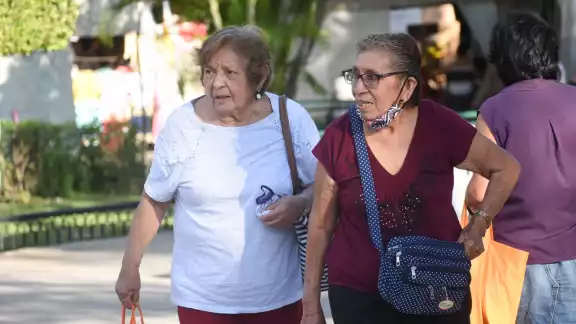 Entre el 5% y 8% de los adultos mayores presentan alguna demencia asociada al deterioro cognitivo Entre el 5% y 8% de los adultos mayores presentan alguna demencia asociada al deterioro cognitivo