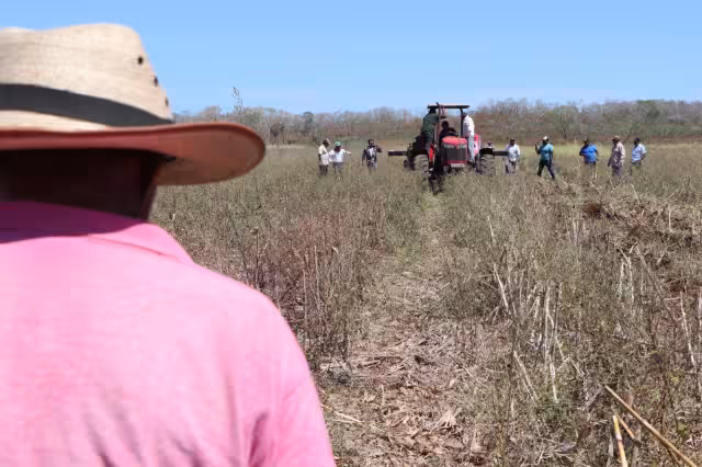 Las lluvias beneficiarán al campo de Campeche