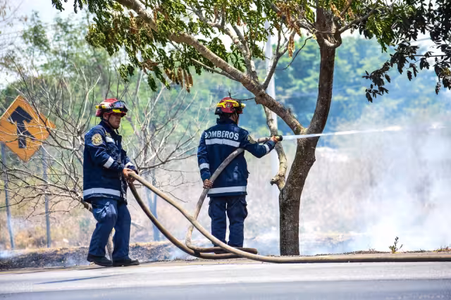Protección Civil aseguró, que hasta ahora, el incendio más devastador de la temporada ocurrió en Dzilam de Bravo