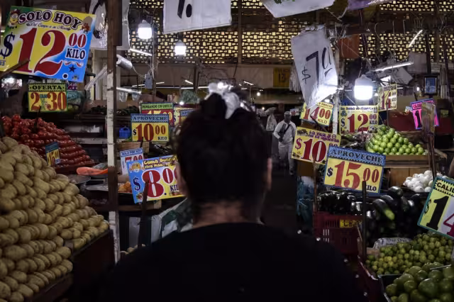 Los precios de varios vegetales mostraron una tendencia a la baja