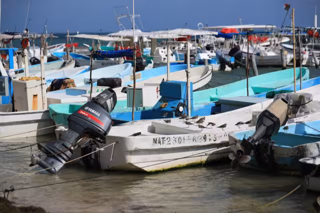 Las investigaciones están en un callejón sin salida
