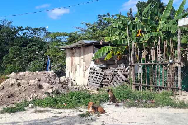 La mayor marginación se concentra en municipios de la zona maya y sur de la entidad