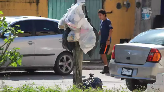 En diciembre se produjeron hasta mil 200 toneladas todos los días.