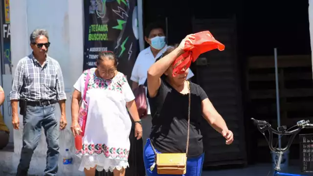 Los diagnósticos EDA se producen por las altas temperaturas