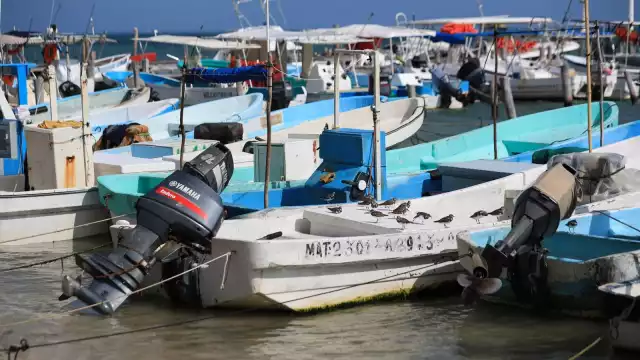 Las investigaciones están en un callejón sin salida