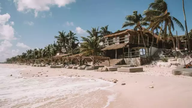 Buscan “remediar” los efectos medioambientales, al presentar una MIA ante la Semarnat para que las obras ilegales sean regularizadas