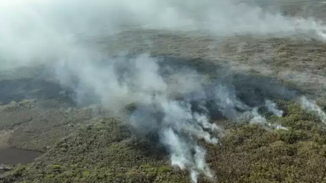 De enero a octubre de este año se han registrado 190 incendios que afectaron 53 mil 499 hectáreas en la Península de Yucatán