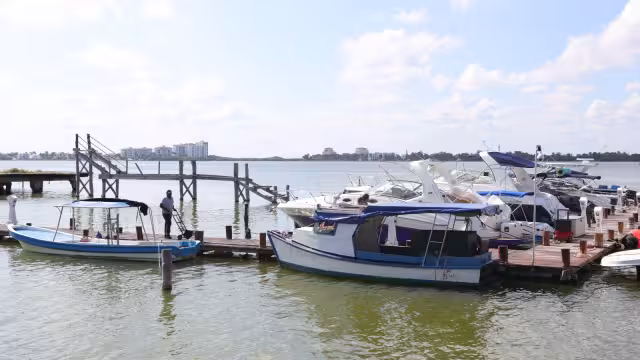 La mayor parte de las aseguradoras no tiene una póliza que los beneficie