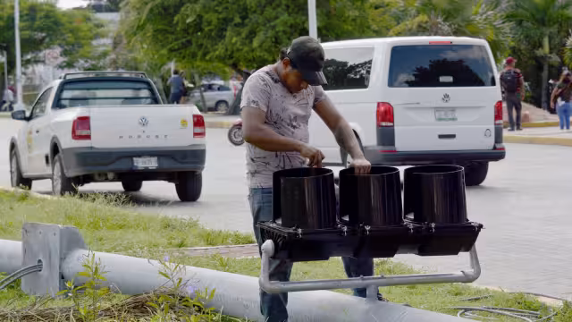 Los del cruce de las avenidas Andrés Q. Roo y Comalcalco están fuera de servicio.