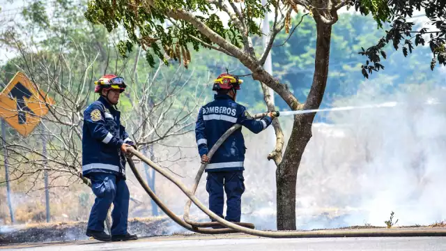 Protección Civil aseguró, que hasta ahora, el incendio más devastador de la temporada ocurrió en Dzilam de Bravo