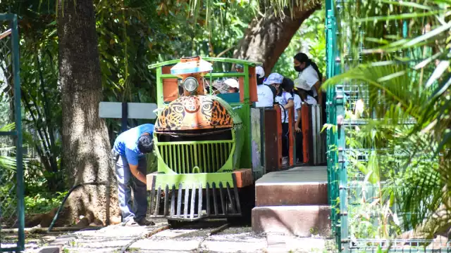 El Ayuntamiento informó que lo que ocasionó el incidente fueron piedras sobre los rieles, que dañaron el vagón que se salió parcialmente de las vías