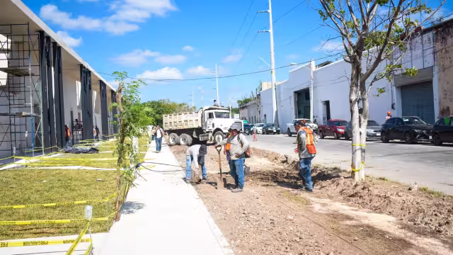 El avance de la construcción de las nuevas casas de La Plancha va a buen ritmo