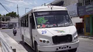 Camiones antiguos y plan poco profesional: ARTEC exhibe a cooperativa de Campeche que rechazó al Ko’ox