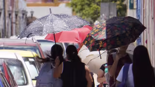 Clima en Campeche este fin de semana: seguirá el calor de hasta 42 grados pese a posibles lluvias