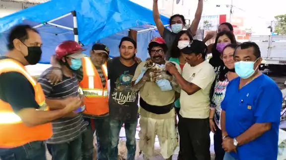 El perrito llamado 'Kibi' fue rescatado con vida, y en Centro de Control Animal de Cozumel se lo llevó para valoración El perrito llamado 'Kibi' fue rescatado con vida, y en Centro de Control Animal de Cozumel se lo llevó para valoración