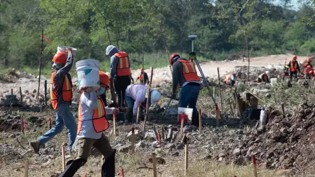 El Tramo 3 es en el que se han dado más hallazgos con 2 mil 984