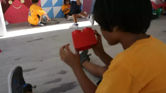 Los conocedores ven positivo la integración de los niños con autismo por medio de la escolarización en instituciones “normales”.