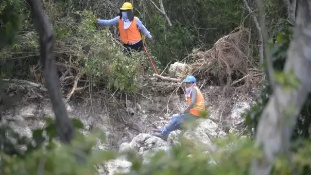 La ganadería, agricultura e incendios son los principales sectores que afectan la deforestación