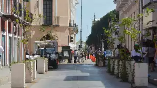 Los maceteros iban a tener una duración de tres meses, pero ya se han prolongado casi medio año