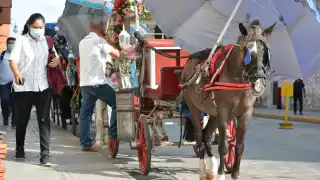 Es normal que un animal resbale, como cualquier ser vivo