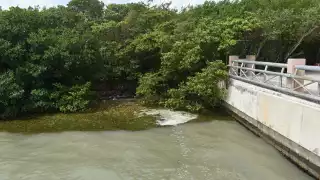 Los residentes locales expresan su preocupación por el estado actual del Malecón Tajamar